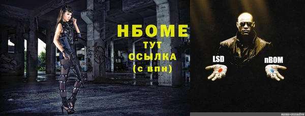 круглые Карпинск