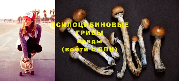 винт Михайловск