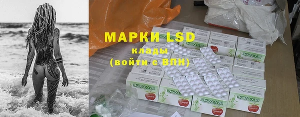 PSILOCYBIN Бородино
