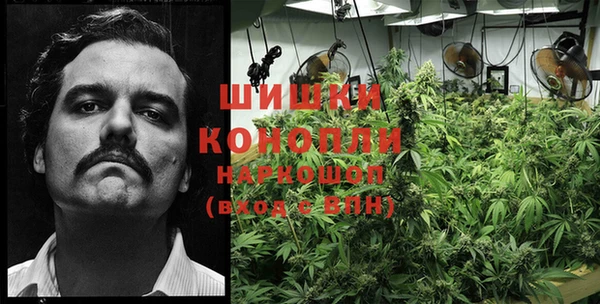 круглые Карпинск