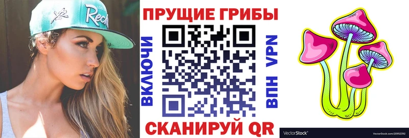 Псилоцибиновые грибы прущие грибы  дарнет шоп  Нижнекамск 