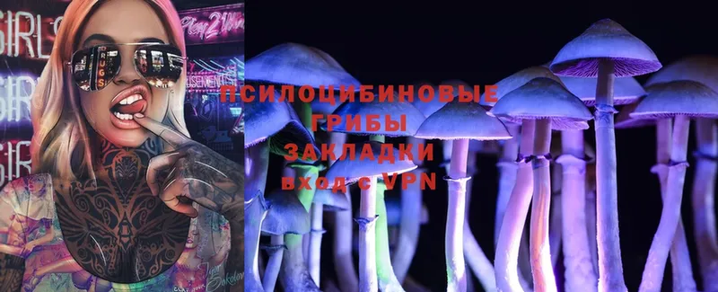 даркнет сайт  Нижнекамск  Галлюциногенные грибы MAGIC MUSHROOMS 