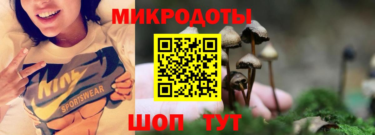 Галлюциногенные грибы прущие грибы  Вход с VPN  Нижнекамск 